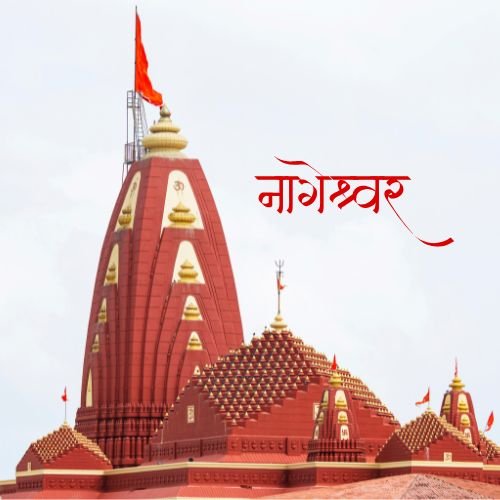 तीर्थ यात्री ग्रुप (11)