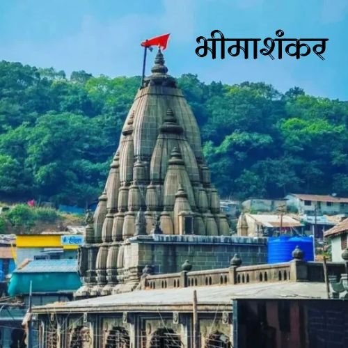 तीर्थ यात्री ग्रुप (14)