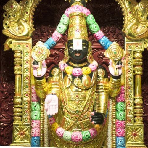 तीर्थ यात्री ग्रुप (16)